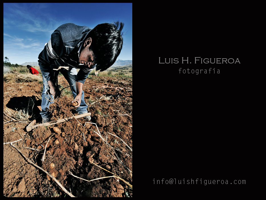 Luis H. Figueroa